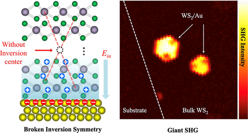 Breaking Inversion Symmetry in 2D Semiconductors by Built-In Electric Fields across the van der Waals Metal–Semiconductor Interface
