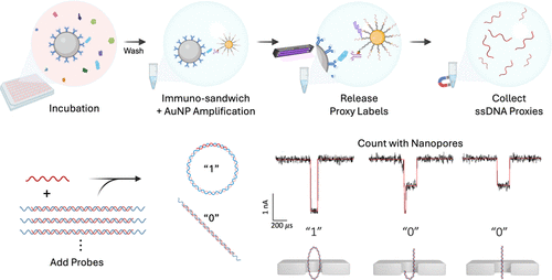 Digital Immunoassays for Sensitive Quantification of Blood Biomarkers Using Solid-State Nanopores