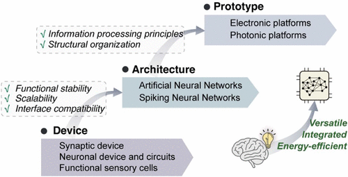 Technology Roadmap of Bioinspired Computing Hardware