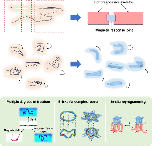 Magnetic Joint-Mediated Assembly of Optically Actuated Soft Robots with Adaptable Modal Switching