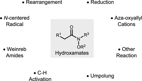 Synthetic Applications of Hydroxamic Acids and Their Derivatives in Organic Chemistry
