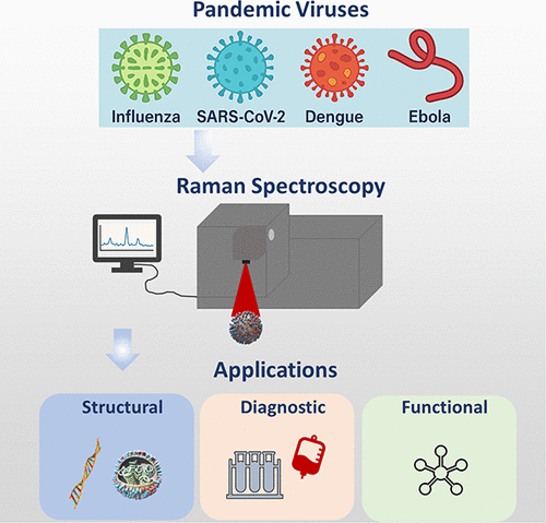 Applications of Raman Spectroscopy in Pandemic Virology: A Comprehensive Review
