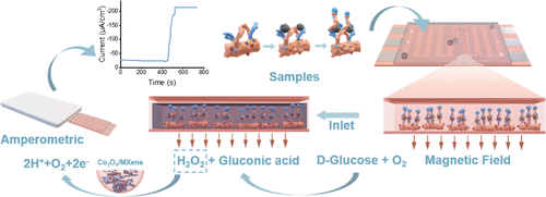 Ultrasensitive Cascade Enzyme Immunoassay Electrochemical Microfluidic Chip for Early Screening of Prostate Cancer