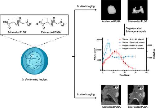 Computed Tomography Imaging and Characteristics of In Situ Forming Implants with Different PLGA Endcaps