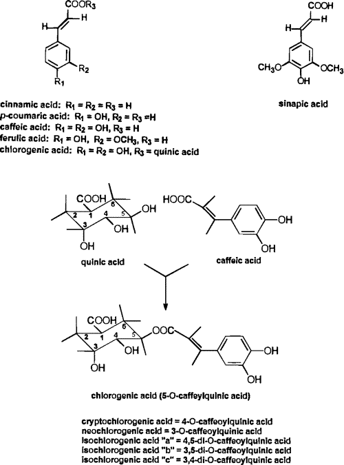 Chemistry, Biochemistry, and Dietary Role of Potato Polyphenols. A Review