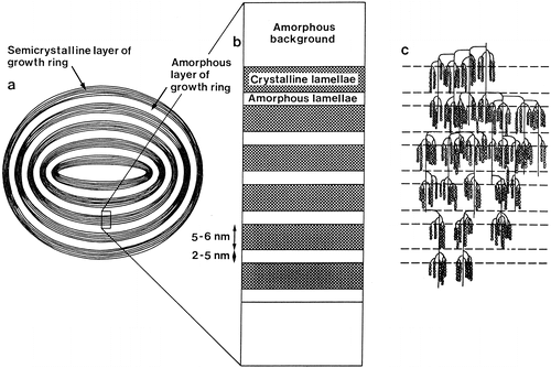 Hydrothermal Modifications of Granular Starch, with Retention of the Granular Structure: A Review