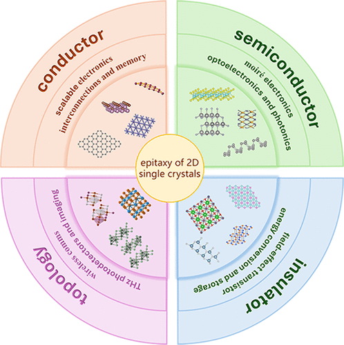 Advances and Challenges in Atomic-Level Growth of Two-Dimensional Single Crystals