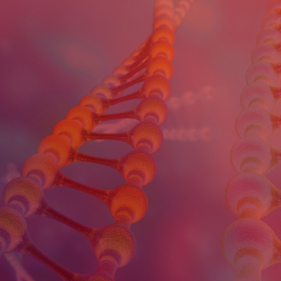 The image displays a 3D representation of a DNA molecule